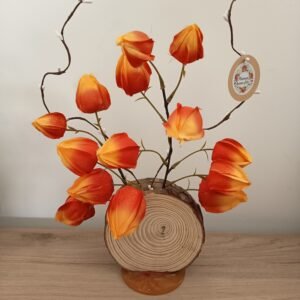 Centre de table fleurs physalis orange